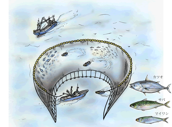 巻き網漁法のイラスト