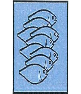 魚倉へ移動の図