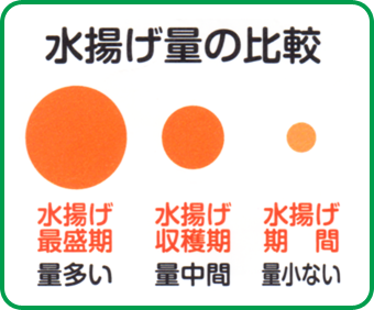 水揚げ量の比較
