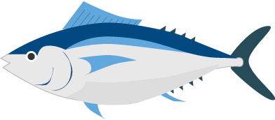 マグロのイラスト